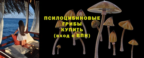 альфа пвп Покровск