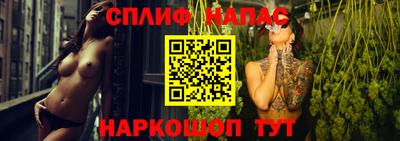 крисы Балахна