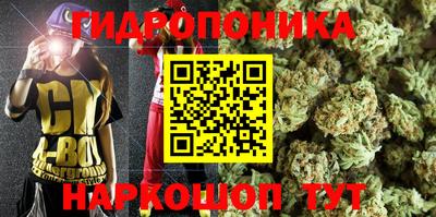 индика Балахна