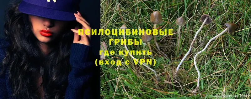 Псилоцибиновые грибы Magic Shrooms  Верхняя Салда 