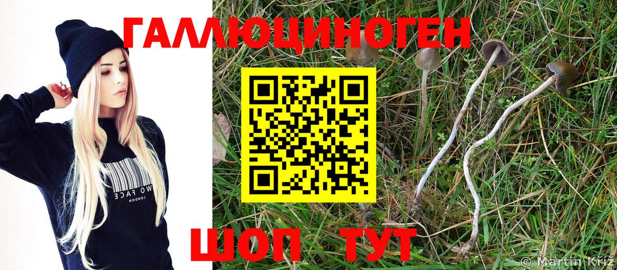 ГЕРОИН  АМФ  Канабис  Вход с VPN  Мефедрон  MDMA  NBOMe  Канабис  МЕФ  Ляпка  ГАШ  Верхняя Салда  Метадон 