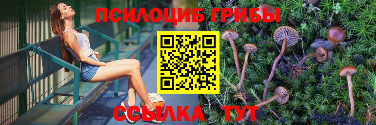 Псилоцибиновые грибы ЛСД Верхняя Салда