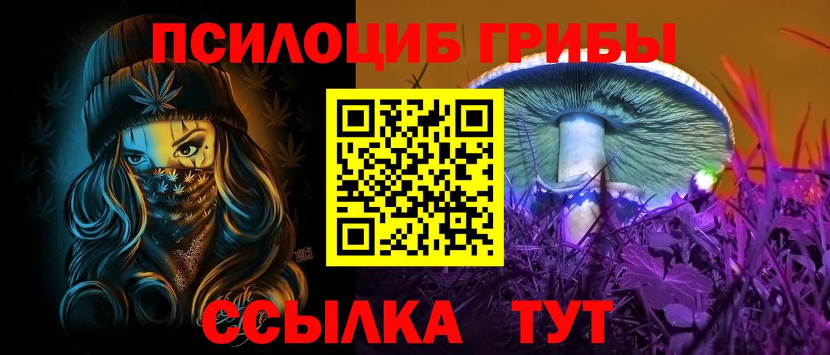 Псилоцибиновые грибы MAGIC MUSHROOMS  Псилоцибиновые грибы мухоморы  Верхняя Салда 