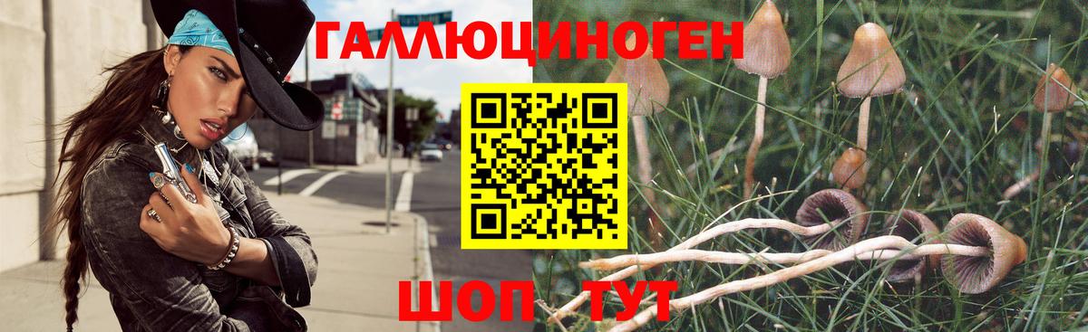 Псилоцибиновые грибы GOLDEN TEACHER Верхняя Салда